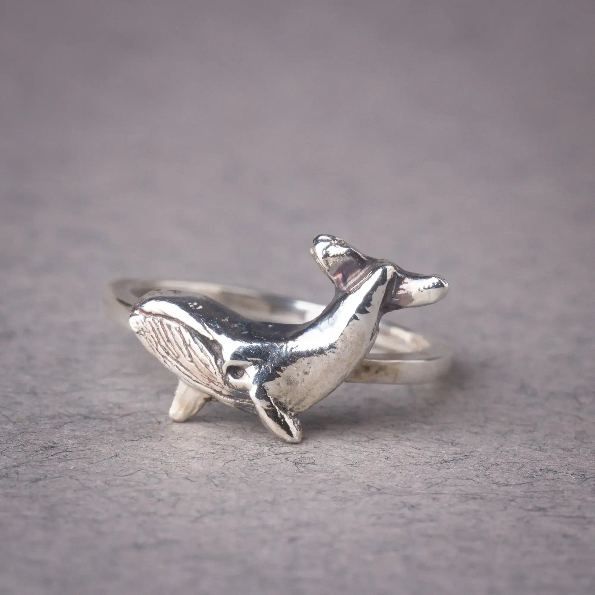 Humpback whale ring in silver